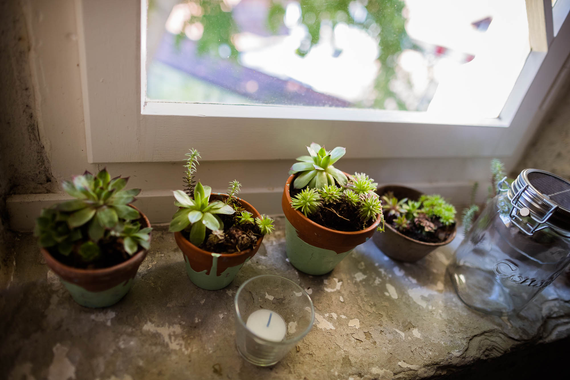 Export x3 1DX27012 Hochzeit 2020 Claudia & Marco